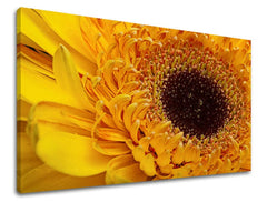 Clasic tablou pe pânză cu motivul floare, flori, motiv religios, natură în maro-galben nuanțe, atmosferă veselă, natură și creștere și dezvoltare – principală