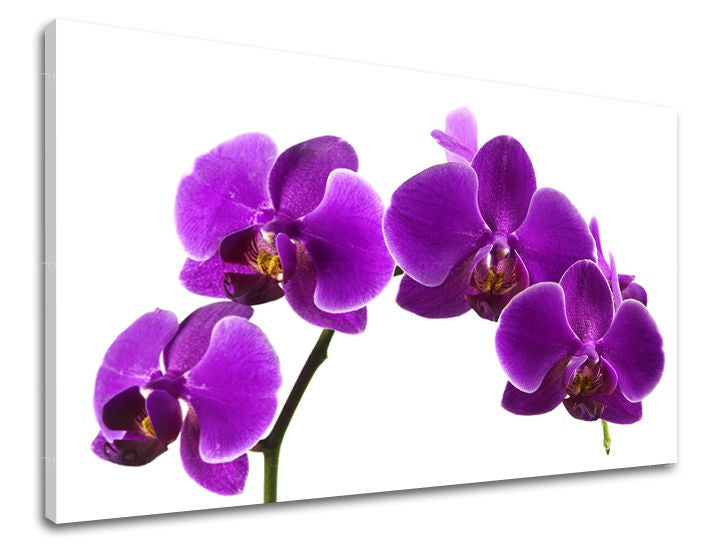 Industrial tablou pe pânză cu motivul flori, motiv religios, natură în alb-violet nuanțe, atmosferă elegantă, natură și eleganță – principală