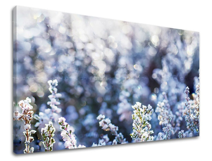 Clasic tablou pe pânză cu motivul flori, natură în alb-albastru nuanțe, atmosferă liniștită, natură și pace și echilibru, potrivit pentru birou de lucru – principală