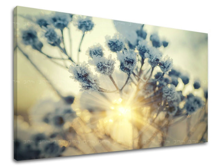 Clasic tablou pe pânză cu motivul peisaj, flori, hartă, natură în alb-albastru nuanțe, atmosferă eterică, natură, potrivit pentru birou de lucru | Tablou de perete FLORI – principală