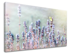 Clasic tablou pe pânză cu motivul lavandă, fluture, flori, hartă, animal în violet-verde nuanțe, atmosferă liniștită, natură și atmosferă de primăvară – principală
