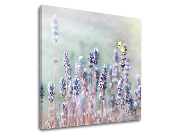 Clasic tablou cu motivul lavandă, fluture, flori în bej-violet nuanțe | Tablou de perete FLORI, natură și atmosferă de primăvară – previzualizare