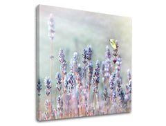 Clasic tablou pe pânză cu motivul lavandă, fluture, flori, grădină, hartă în bej-violet nuanțe, atmosferă liniștită, natură și atmosferă de primăvară – principală