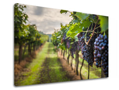 Clasic tablou pe pânză cu motivul HROZNO, frunze, hartă, natură în violet-verde nuanțe, atmosferă liniștită, natură, potrivit pentru bucătărie | Tablou de perete HROZNO_091-11 – produs