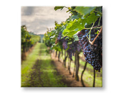 Clasic tablou pe pânză cu motivul HROZNO, frunze, peisaj, hartă, natură în violet-verde nuanțe, atmosferă liniștită, natură, potrivit pentru bucătărie – principală