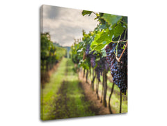 Clasic tablou pe pânză cu motivul HROZNO, frunze, peisaj, hartă, natură în violet-verde nuanțe, atmosferă liniștită, natură, potrivit pentru bucătărie – produs