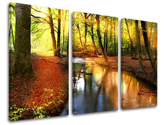 Pop art tablou pe pânză cu motivul pădure, copaci, peisaj, hartă, natură în maro-verde nuanțe, atmosferă liniștită, natură, execuție cu trei panouri – principală