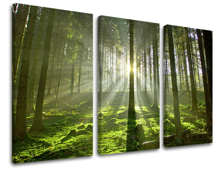 Clasic tablou pe pânză cu motivul copaci, peisaj, hartă, natură în maro-verde nuanțe, atmosferă liniștită, natură și creștere și dezvoltare, execuție cu trei panouri – principală