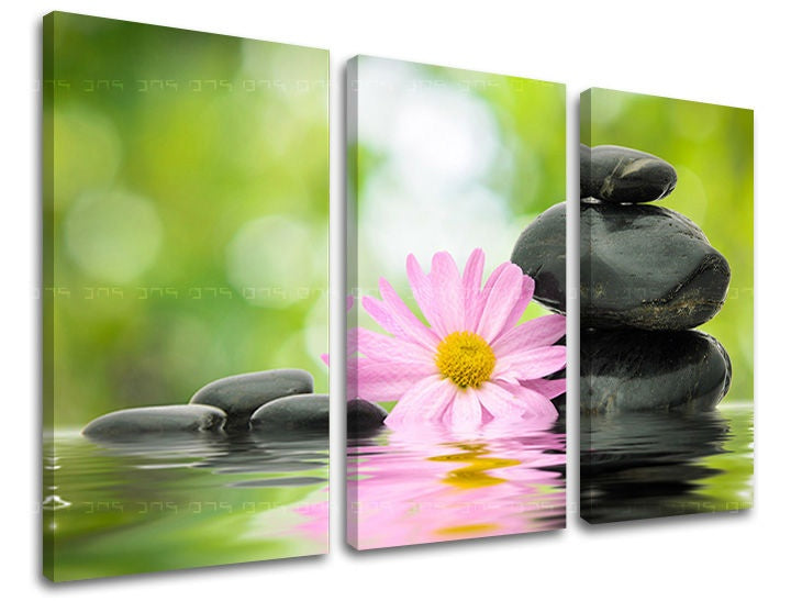 Clasic tablou pe pânză cu motivul FENG SHUI, reflexie pe apă în roz-verde nuanțe, atmosferă liniștită, natură, potrivit pentru sufragerie | Tablou de perete FENG SHUI – principală