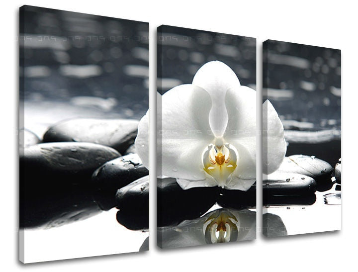 Industrial tablou cu motivul FENG SHUI, peisaj, natură în alb-gri nuanțe | Tablou de perete FENG SHUI, minimalism – previzualizare