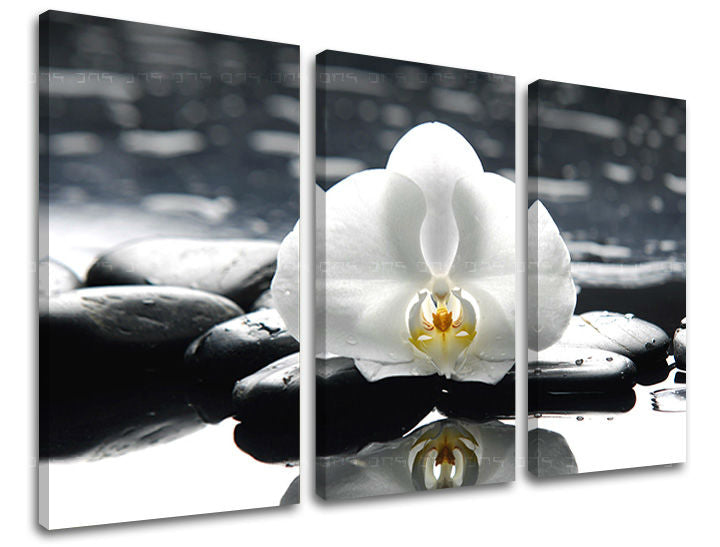 Industrial tablou pe pânză cu motivul FENG SHUI, peisaj, natură în alb-gri nuanțe, atmosferă liniștită, minimalism, execuție cu trei panouri – principală