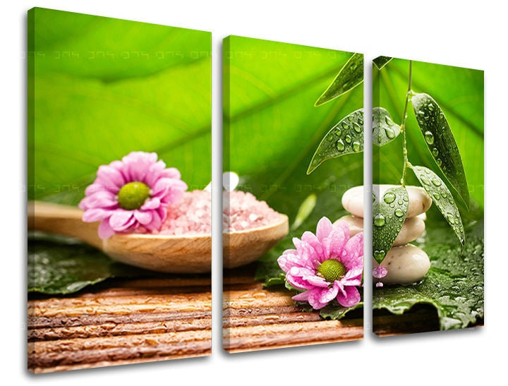 Clasic tablou pe pânză cu motivul FENG SHUI, natură în alb-roz nuanțe, atmosferă liniștită, natură, potrivit pentru sufragerie | Tablou de perete FENG SHUI – principală