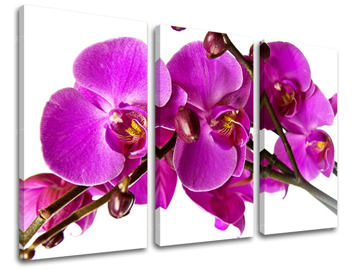 Pop art tablou pe pânză cu motivul flori, motiv religios, natură în alb-violet nuanțe, atmosferă elegantă, natură și atmosferă de primăvară – principală