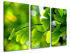 Clasic tablou pe pânză cu motivul RASTLINY, hartă, natură în multicolor nuanțe, atmosferă proaspătă, atmosferă de primăvară și creștere și dezvoltare, execuție cu trei panouri – principală