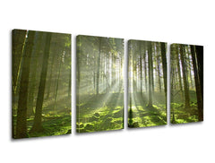 Clasic tablou pe pânză cu motivul copaci, pădure, peisaj, hartă, natură în maro-verde nuanțe, atmosferă liniștită, natură și pace și echilibru – principală