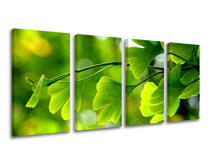 Clasic tablou pe pânză cu motivul RASTLINY, hartă, natură în verde nuanțe, atmosferă liniștită, natură și simbol al reînnoirii, execuție multi-panou – principală
