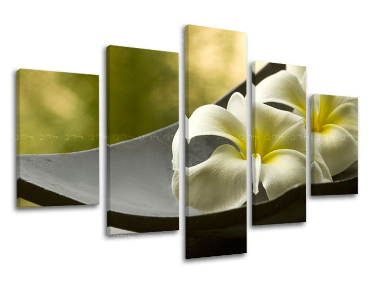 Industrial tablou pe pânză cu motivul FENG SHUI, flori, hartă, natură în alb-verde nuanțe, atmosferă liniștită, natură și paradis tropical – principală