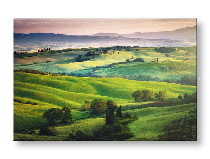 Clasic tablou pe pânză cu motivul PAJIȘTE, peisaj, natură în verde nuanțe, atmosferă liniștită, natură și pace și echilibru, potrivit pentru sufragerie – principală