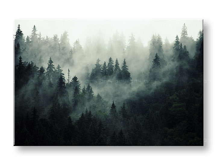 Clasic tablou pe pânză cu motivul HORY, ceață, ceață ușoară, peisaj, hartă în alb-gri nuanțe, atmosferă festivă, natură și singurătate, potrivit pentru birou – principală