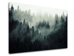 Clasic tablou pe pânză cu motivul HORY, ceață, ceață ușoară, peisaj, hartă în alb-gri nuanțe, atmosferă festivă, natură și singurătate, potrivit pentru birou – produs