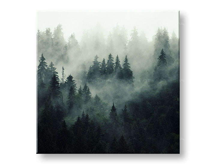 Clasic tablou pe pânză cu motivul HORY, ceață, ceață ușoară, pădure, peisaj în alb-gri nuanțe, atmosferă liniștită, natură și singurătate, potrivit pentru birou – principală
