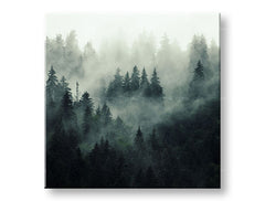 Clasic tablou pe pânză cu motivul HORY, ceață, ceață ușoară, pădure, peisaj în alb-gri nuanțe, atmosferă liniștită, natură și singurătate, potrivit pentru birou – principală