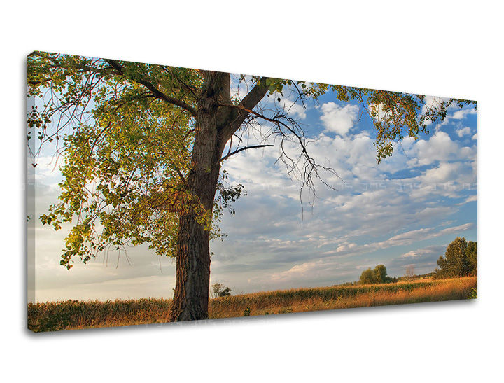 Clasic tablou pe pânză cu motivul PANORAMĂ COPACI, copac, cer, câmp, nori în maro-albastru nuanțe, atmosferă liniștită, natură și singurătate – principală