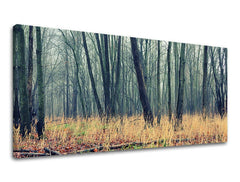 Clasic tablou cu motivul PANORAMĂ COPACI, copaci, pădure în maro-gri nuanțe | Tablou de perete PANORAMĂ COPACI, natură și singurătate – previzualizare