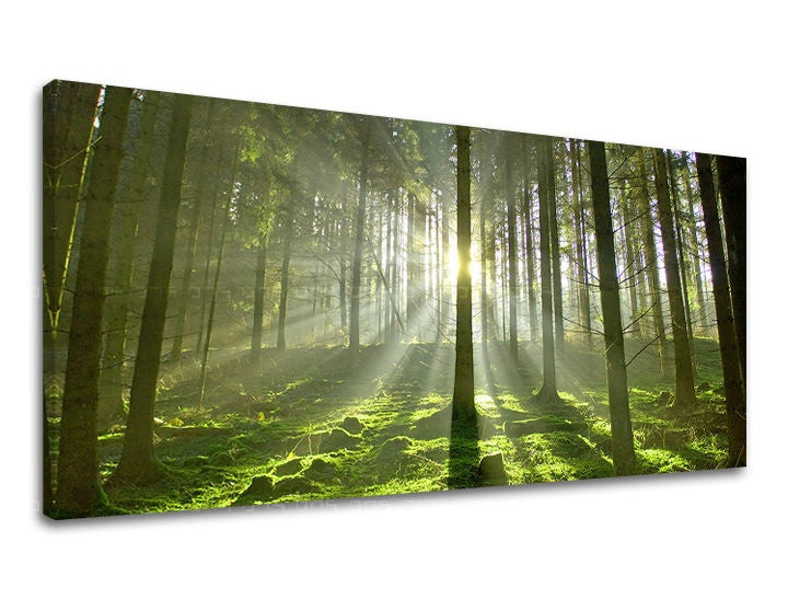În stil boho tablou pe pânză cu motivul PANORAMĂ COPACI, copaci, peisaj, hartă, natură în maro-verde nuanțe, atmosferă liniștită, potrivit pentru sufragerie – principală