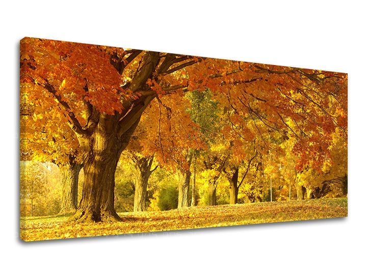 Clasic tablou pe pânză cu motivul PANORAMĂ COPACI, peisaj, hartă, natură, copaci în maro-portocaliu nuanțe, atmosferă liniștită, potrivit pentru birou de lucru – principală