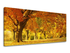Clasic tablou pe pânză cu motivul PANORAMĂ COPACI, peisaj, hartă, natură, copaci în maro-portocaliu nuanțe, atmosferă liniștită, potrivit pentru birou de lucru – principală