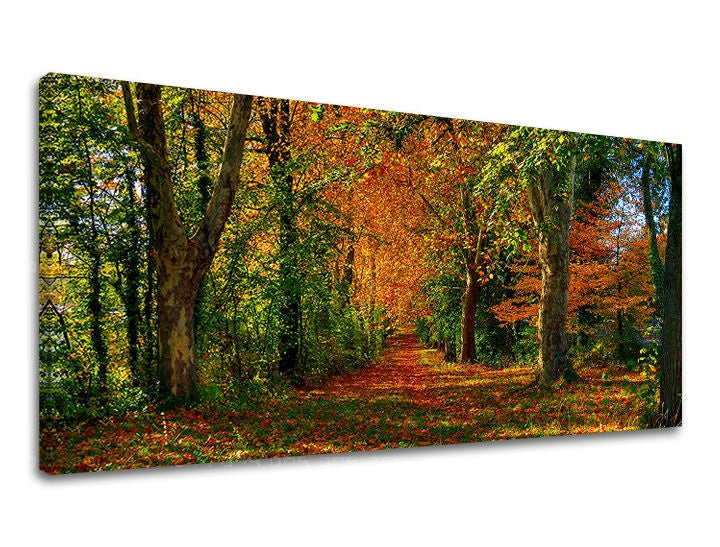 Clasic tablou pe pânză cu motivul PANORAMĂ COPACI, copaci, peisaj, hartă, natură în portocaliu-verde nuanțe, atmosferă liniștită, potrivit pentru hol – principală