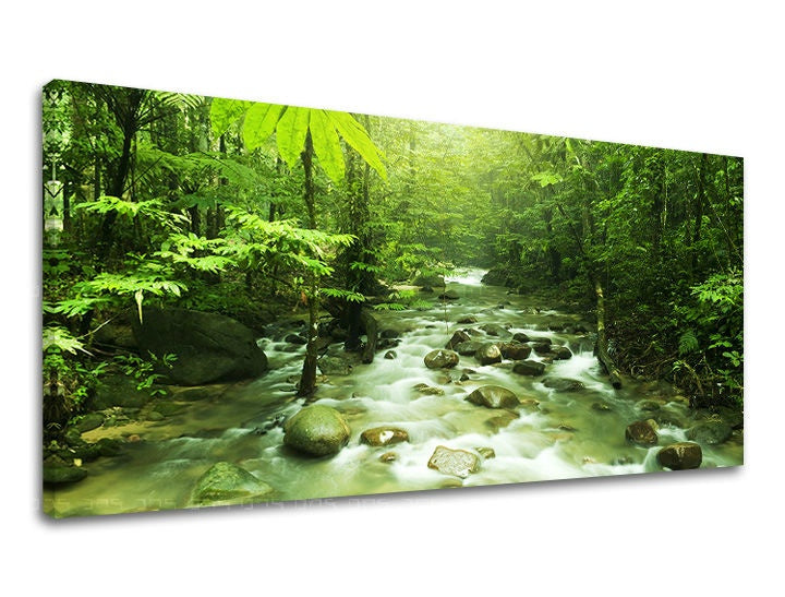 Clasic tablou cu motivul PANORAMĂ COPACI, pădure, copaci în alb-maro nuanțe | Tablou de perete PANORAMĂ COPACI, natură – previzualizare