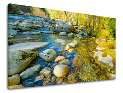 Clasic tablou pe pânză cu motivul copaci, pădure, peisaj, hartă, natură în albastru-verde nuanțe, atmosferă liniștită, natură, potrivit pentru sufragerie – principală