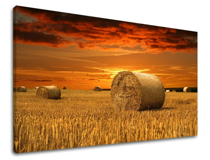 Industrial tablou pe pânză cu motivul păsări, peisaj, animal în maro-portocaliu nuanțe, atmosferă liniștită, natură, potrivit pentru sufragerie | Tablou de perete KRAJINA – principală