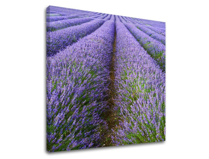 Pop art tablou pe pânză cu motivul peisaj, flori, natură, animal în violet-verde nuanțe, atmosferă liniștită, natură, potrivit pentru sufragerie – principală