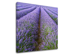 Pop art tablou pe pânză cu motivul peisaj, flori, natură, animal în violet-verde nuanțe, atmosferă liniștită, natură, potrivit pentru sufragerie – principală