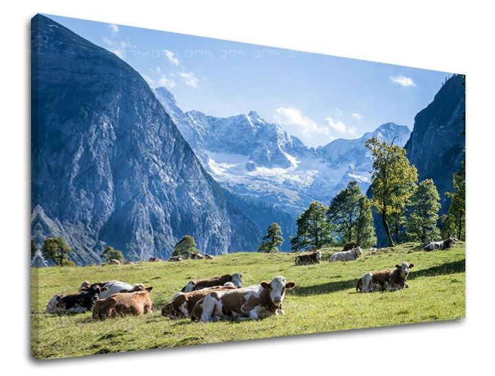 Clasic tablou pe pânză cu motivul copaci, zăpadă, peisaj, hartă, natură în alb-maro nuanțe, atmosferă liniștită, natură, potrivit pentru birou – principală