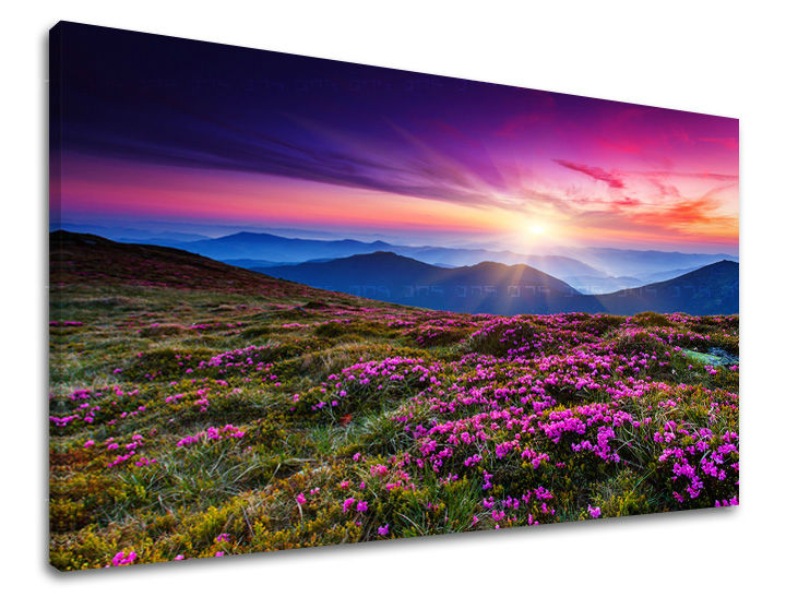Clasic tablou pe pânză cu motivul munți, cer, soare, peisaj, flori în violet-portocaliu nuanțe, atmosferă liniștită, natură și singurătate, potrivit pentru sufragerie – principală