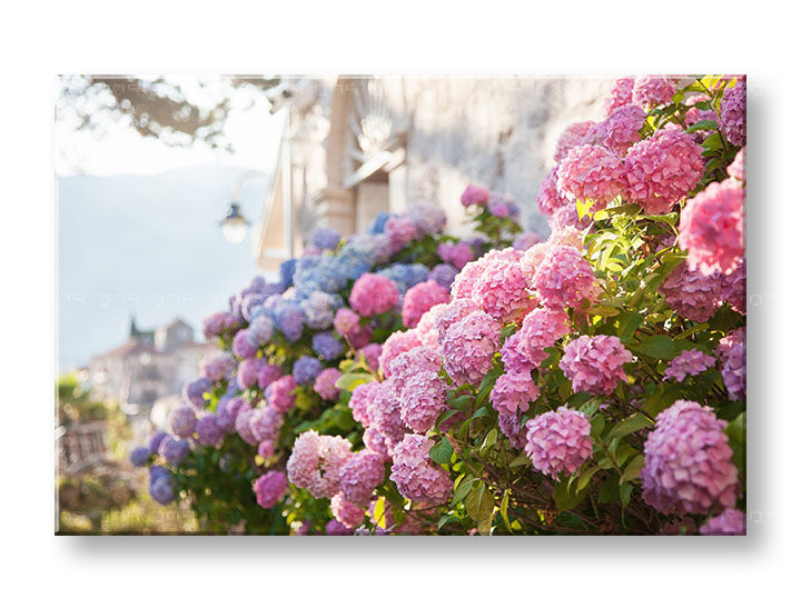 Clasic tablou pe pânză cu motivul FLORI ROZ, flori, grădină, peisaj, hartă în violet-albastru nuanțe, atmosferă liniștită, potrivit pentru bucătărie – principală
