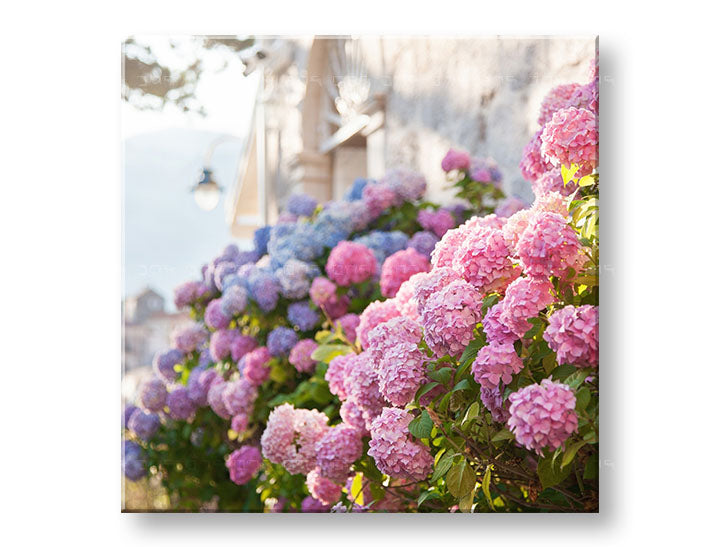Clasic tablou pe pânză cu motivul FLORI ROZ, flori, grădină, peisaj, hartă în violet-albastru nuanțe, atmosferă liniștită, potrivit pentru bucătărie – principală [XOBKV157E12]