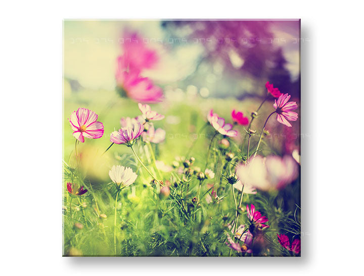 Pop art tablou pe pânză cu motivul FLORI ROZ, pajiște, flori, hartă, natură în alb-roz nuanțe, atmosferă liniștită, atmosferă de primăvară și natură – principală
