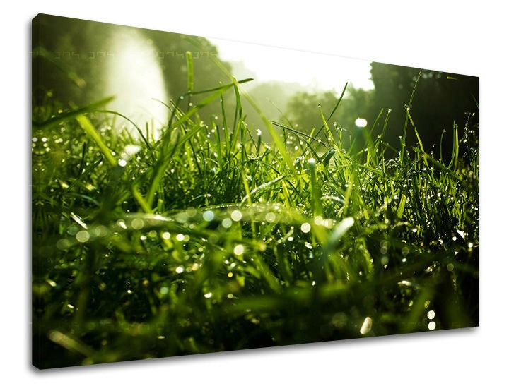 Clasic tablou pe pânză cu motivul RASTLINY, hartă în verde nuanțe, atmosferă proaspătă, natură și simbol al reînnoirii, potrivit pentru sufragerie | Tablou de perete RASTLINY – principală