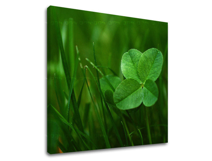 Clasic tablou pe pânză cu motivul RASTLINY în verde nuanțe, atmosferă liniștită, natură și atmosferă de primăvară, potrivit pentru sufragerie | Tablou de perete RASTLINY – principală