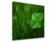 Clasic tablou pe pânză cu motivul RASTLINY în verde nuanțe, atmosferă liniștită, natură și atmosferă de primăvară, potrivit pentru sufragerie | Tablou de perete RASTLINY – principală