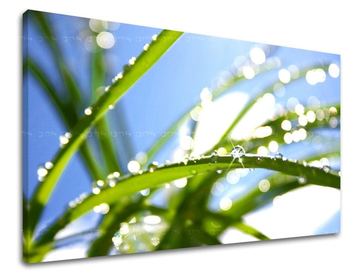 Clasic tablou pe pânză cu motivul RASTLINY, cer, flori, natură în alb-albastru nuanțe, atmosferă proaspătă, natură și simbol al reînnoirii, potrivit pentru sufragerie – principală
