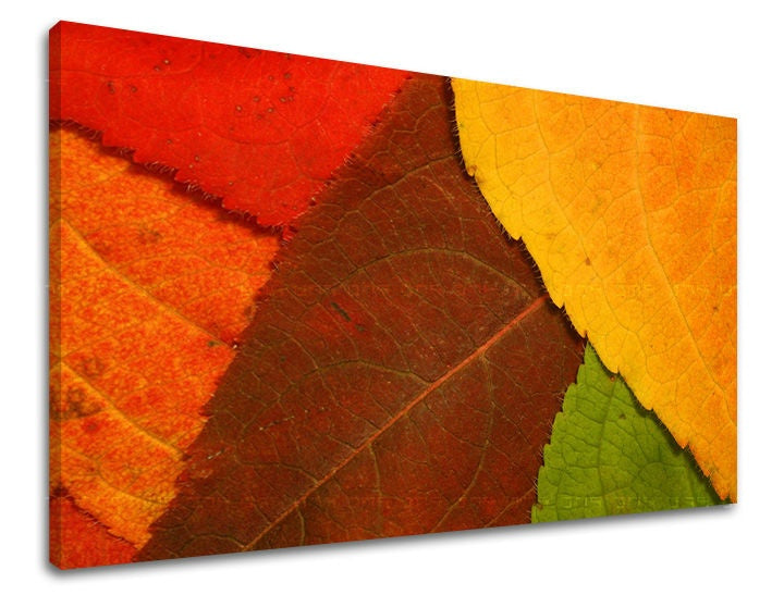 Geometric tablou pe pânză cu motivul RASTLINY, frunziș de toamnă, natură în maro-portocaliu nuanțe, atmosferă caldă, natură, potrivit pentru sufragerie – principală