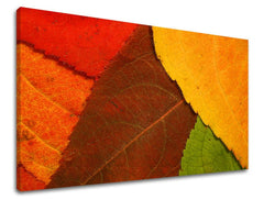 Geometric tablou pe pânză cu motivul RASTLINY, frunziș de toamnă, natură în maro-portocaliu nuanțe, atmosferă caldă, natură, potrivit pentru sufragerie – principală