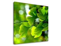 Clasic tablou pe pânză cu motivul RASTLINY, ramuri, hartă, natură în verde nuanțe, atmosferă proaspătă, natură și atmosferă de primăvară, potrivit pentru sufragerie – principală