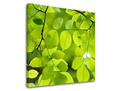 În stil boho tablou pe pânză cu motivul RASTLINY, frunze, ramuri, hartă, natură în verde nuanțe, atmosferă proaspătă, natură și atmosferă de primăvară – principală